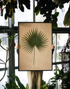 Palm Leaf