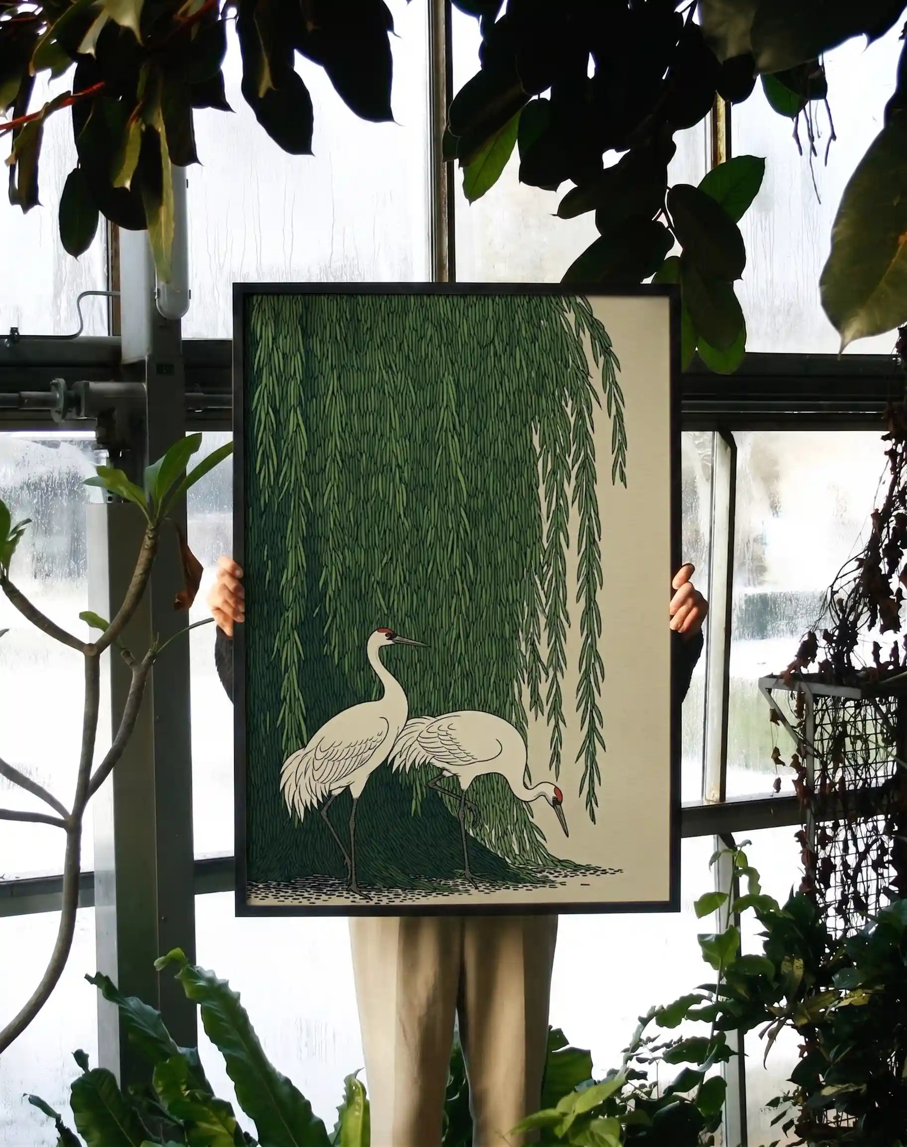 Japanese Cranes