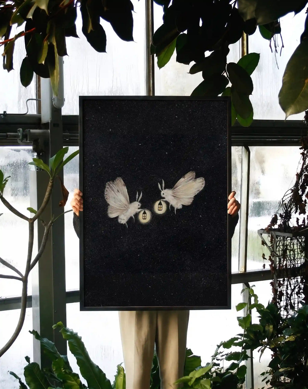 Lonely Moths