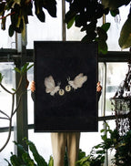 Lonely Moths