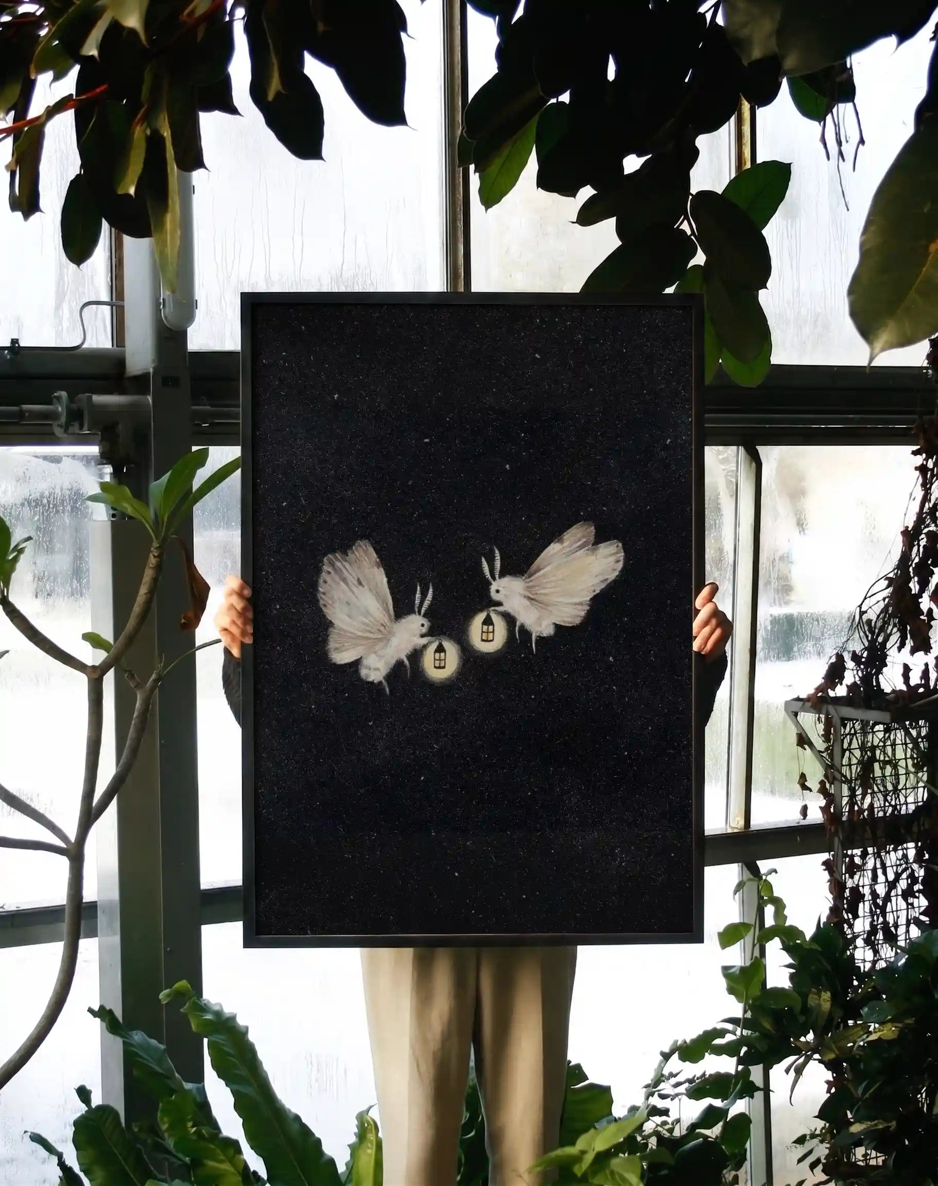 Lonely Moths