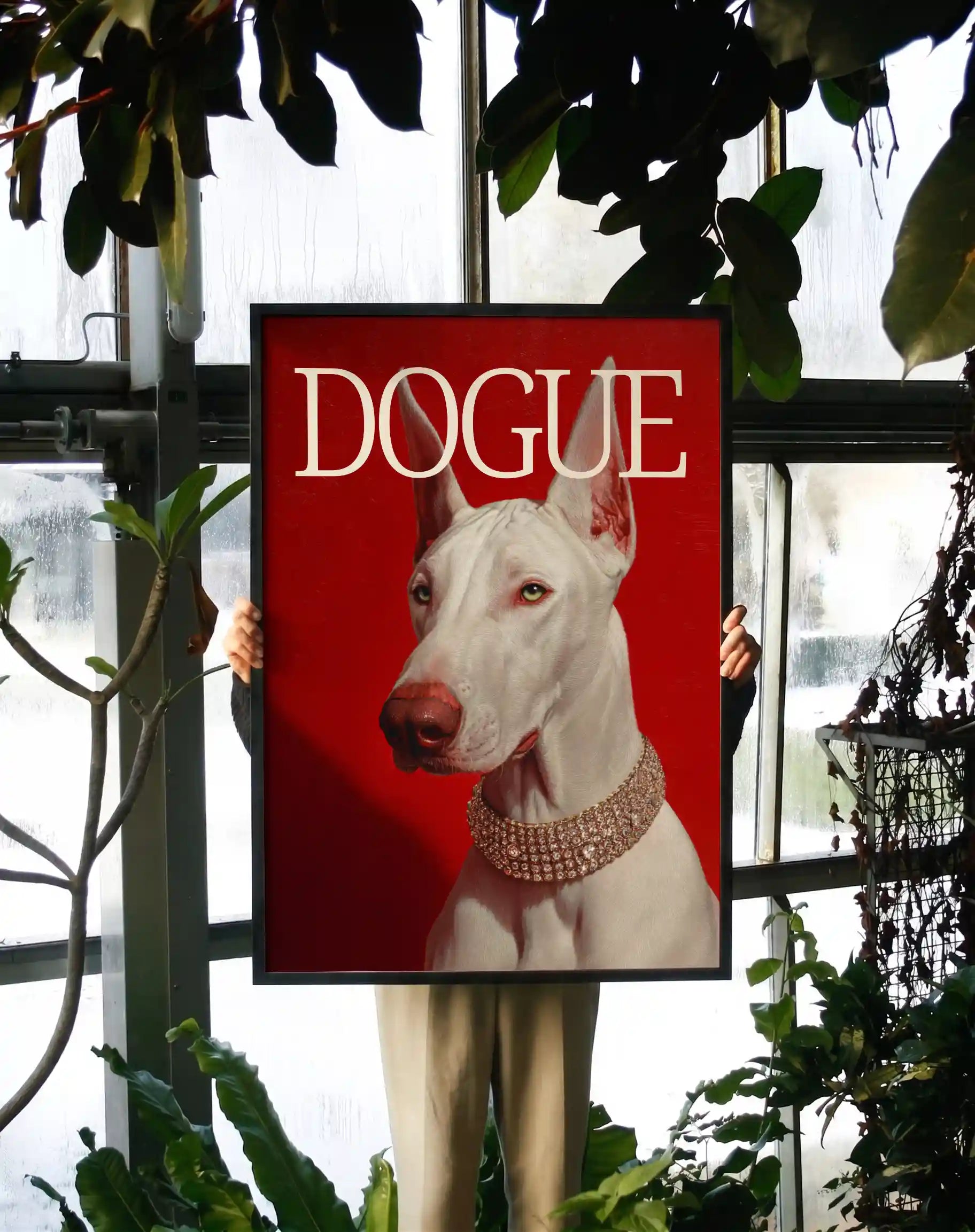Dogue red