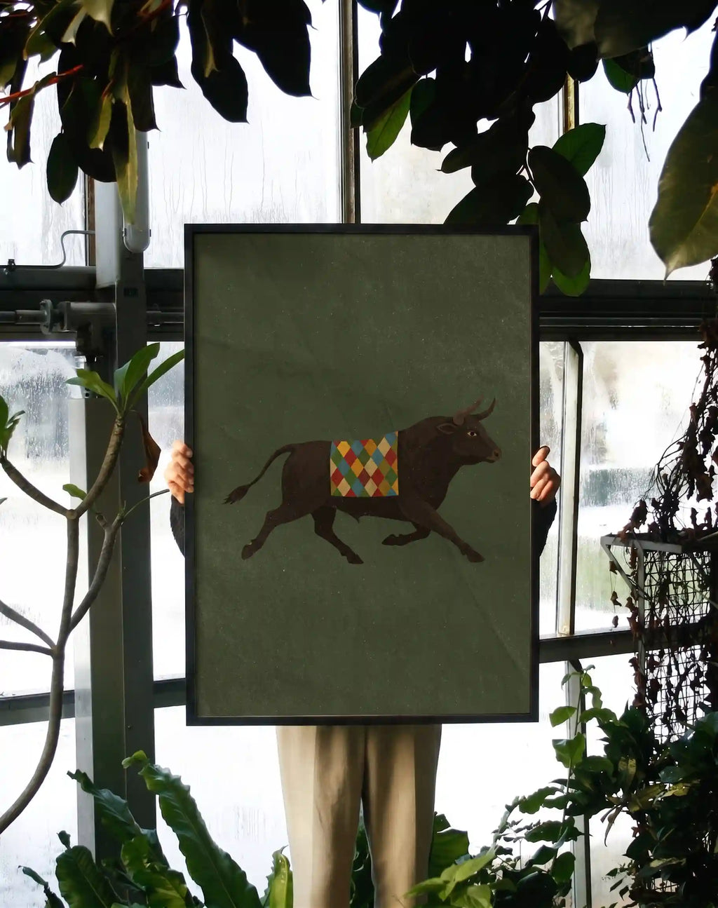 The Harlequin Bull