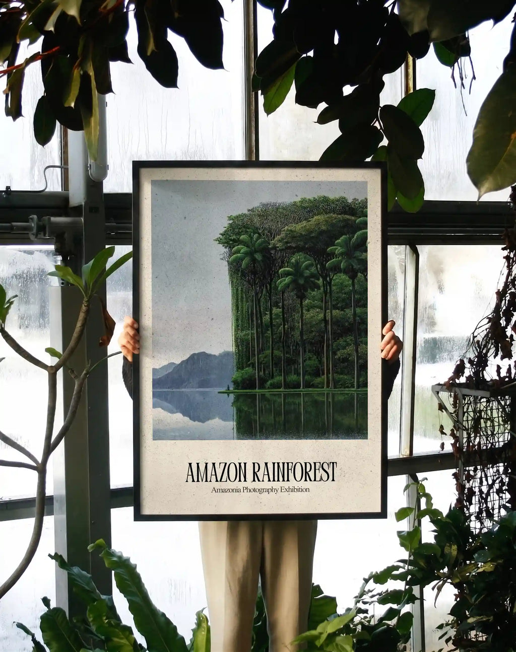 Amazon Rainforest