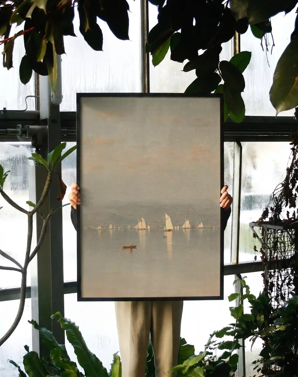 Serenade of Sails