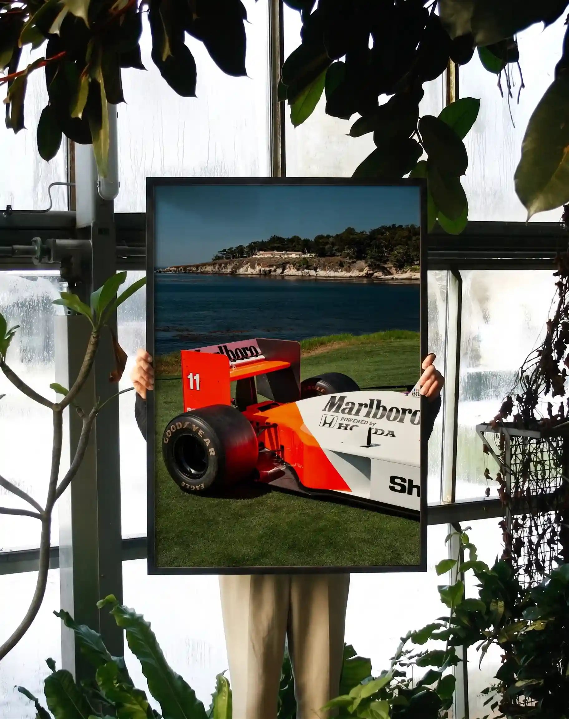 Coastline Concours