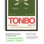 Dragonfly Exhibition