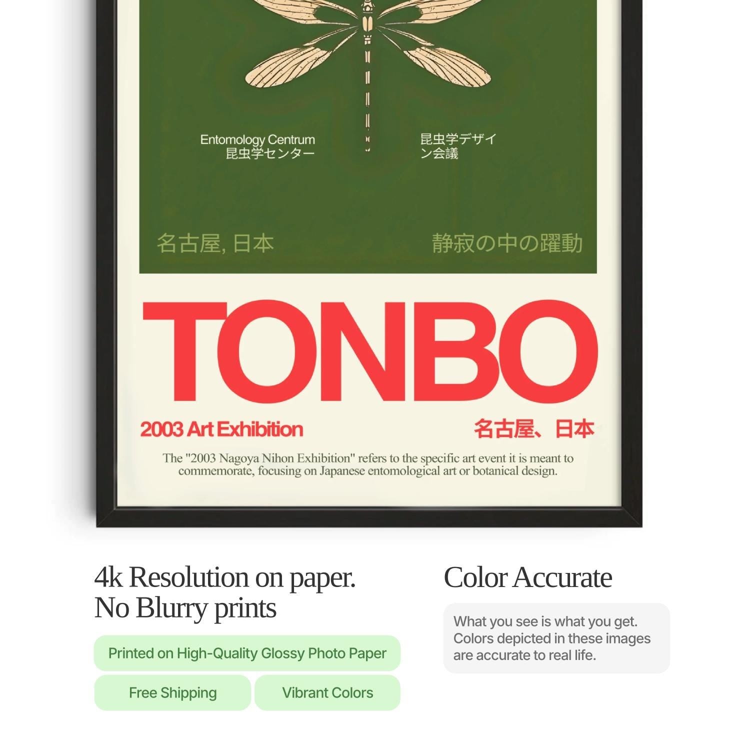 Dragonfly Exhibition