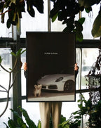 No Risk, No Porsche