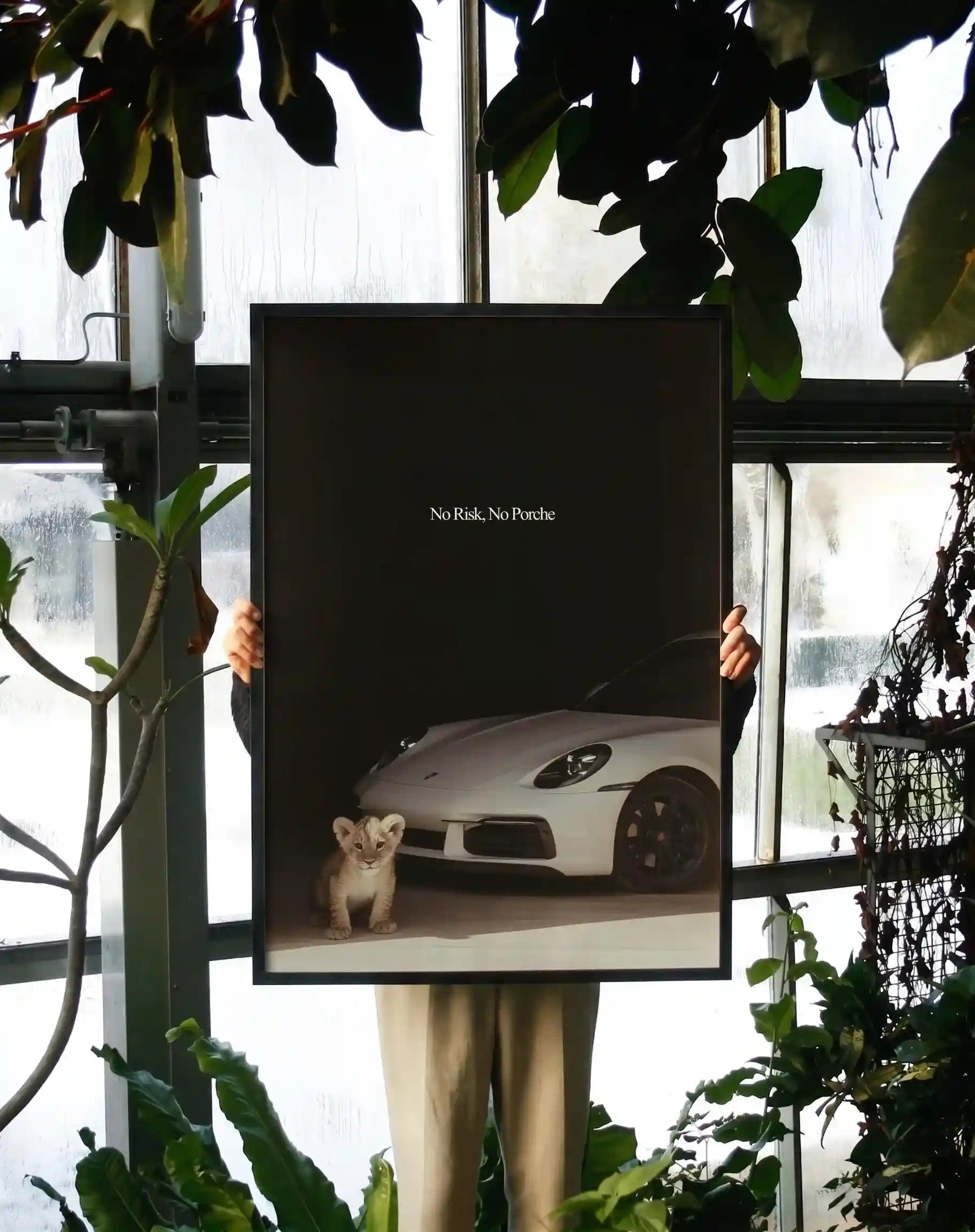 No Risk, No Porsche