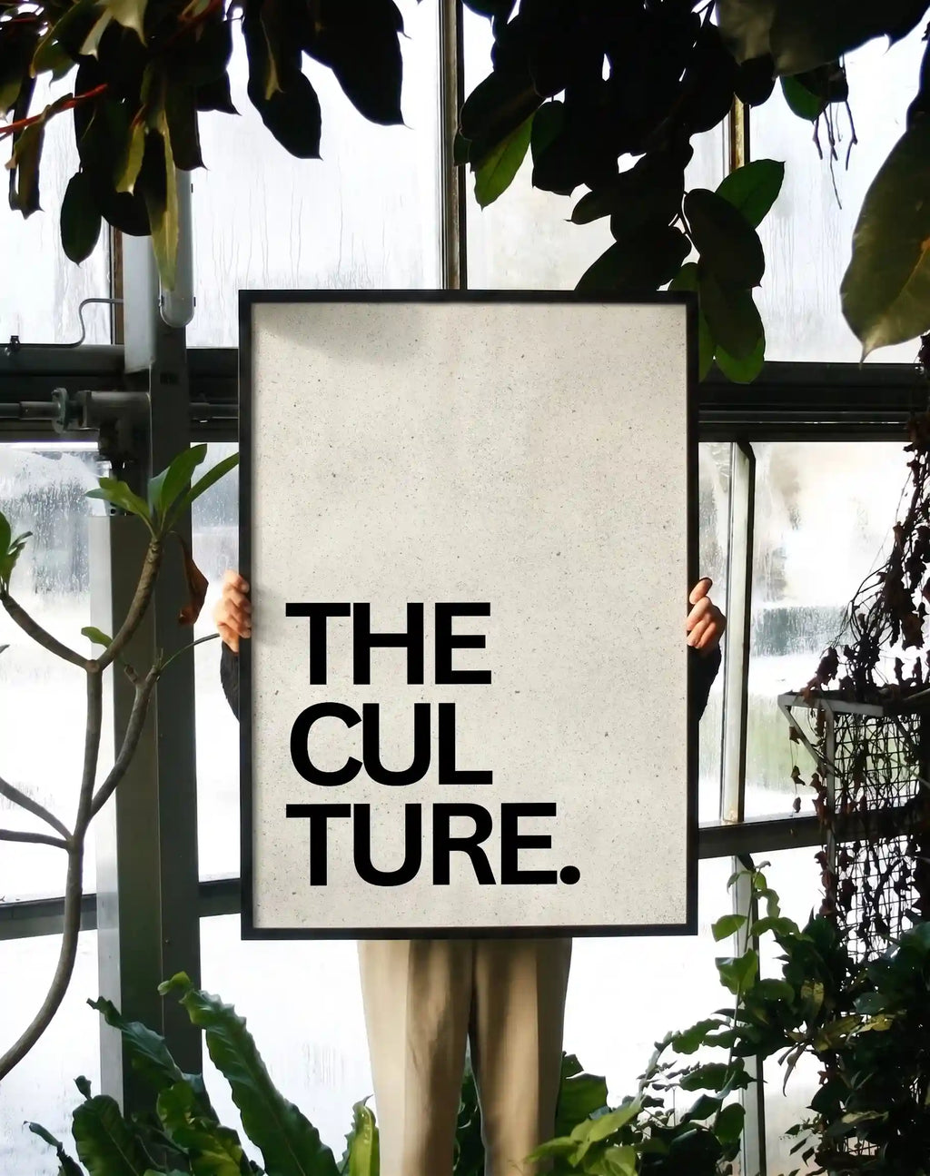 The Culture (ii)