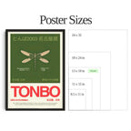 Dragonfly Exhibition