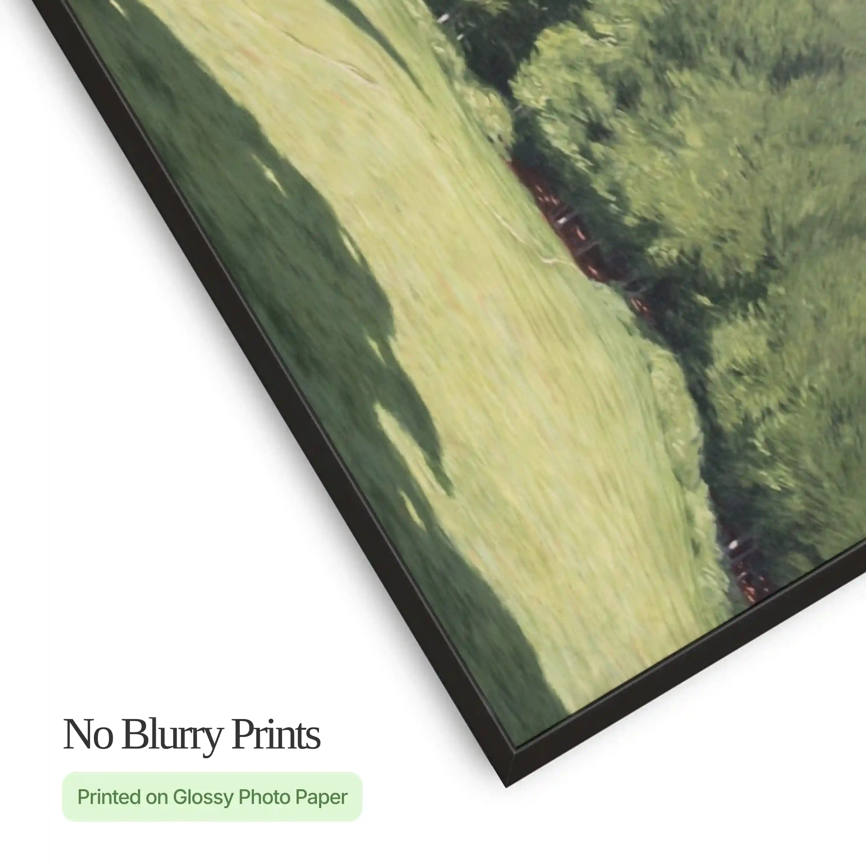 Study in Meadow Shadows