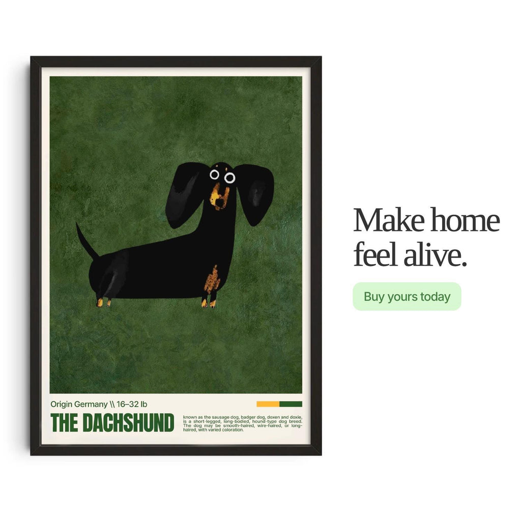 Dachshund Dog