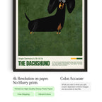 Dachshund Dog