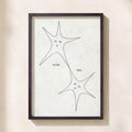 Stars