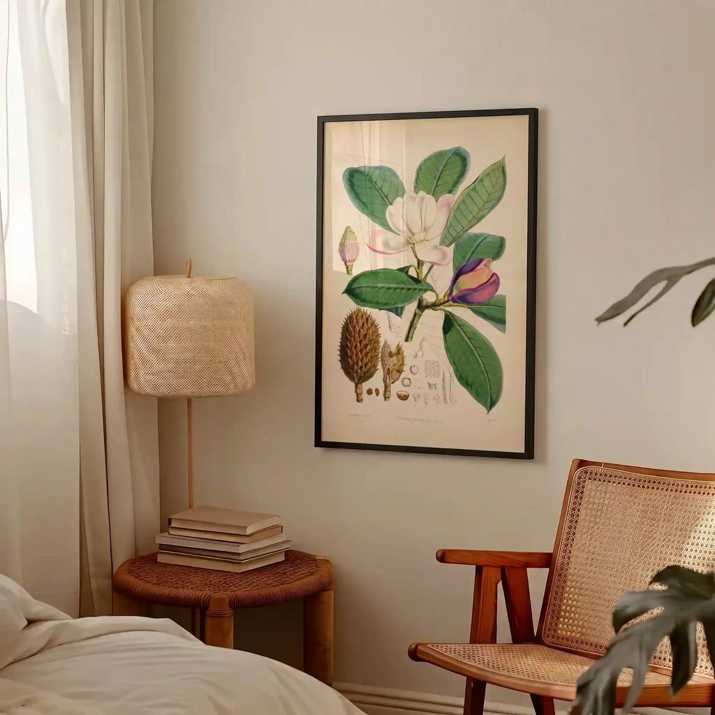 Magnolia's Majesty
