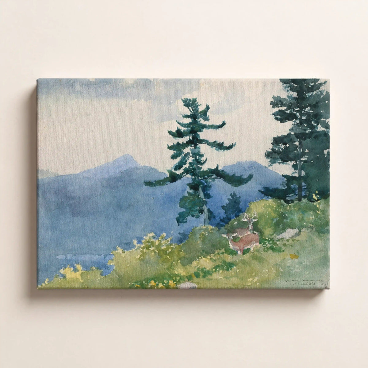 Cypress Shore Serenity