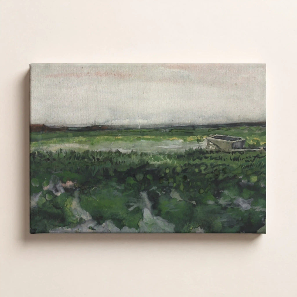 Overcast Marsh