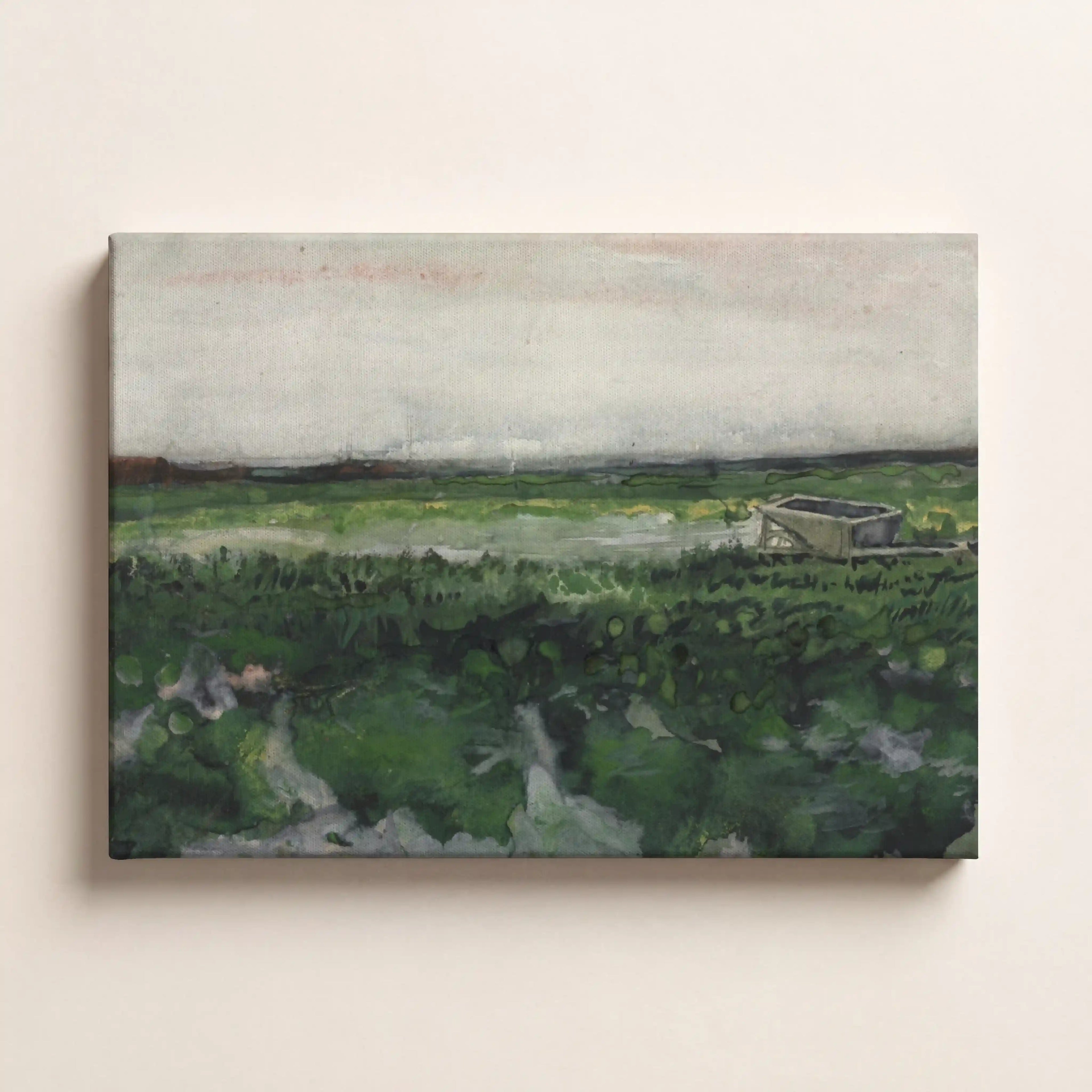 Overcast Marsh