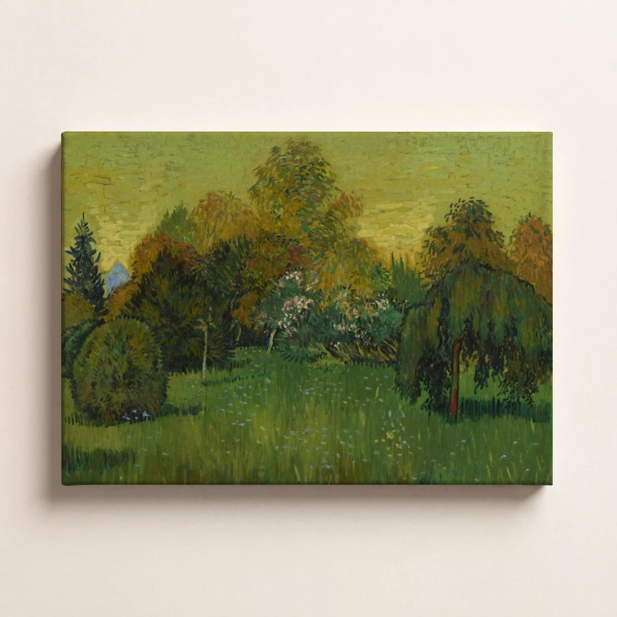 Serene Forest