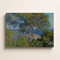 Cypress Lined Coastal View