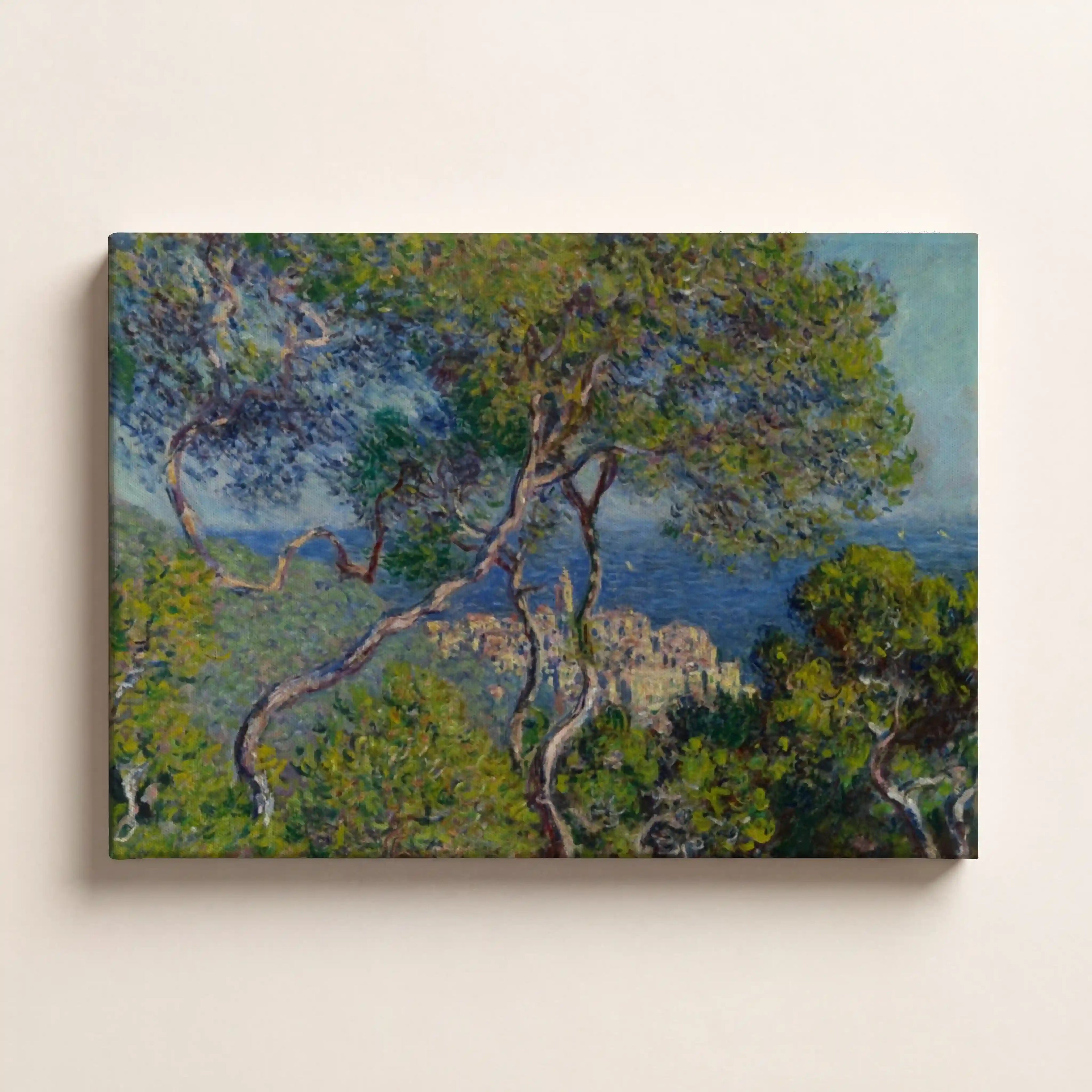 Cypress Lined Coastal View
