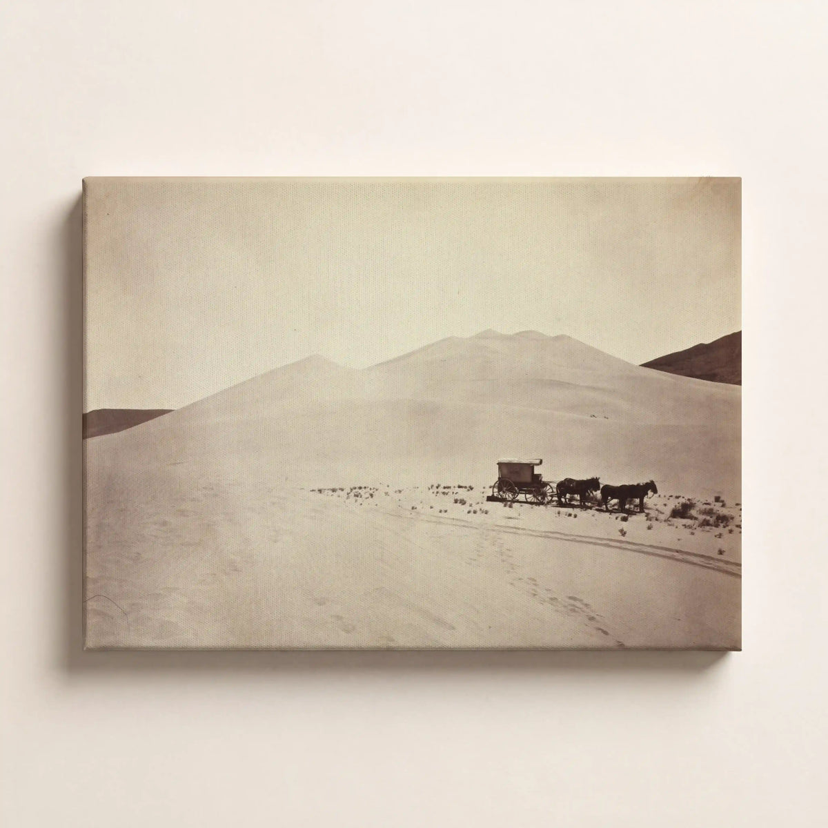 Desert Caravan