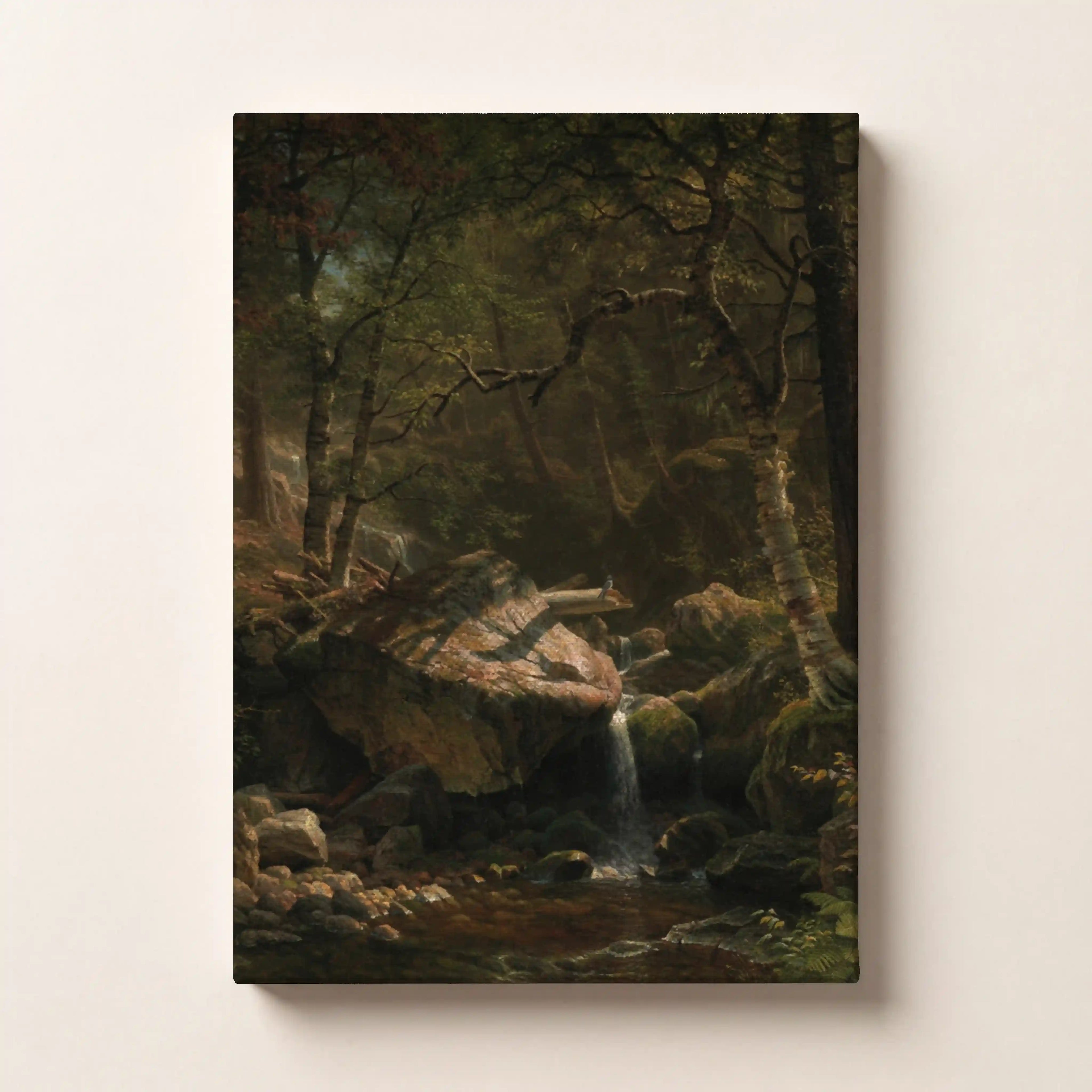 Rhythmic Forest Stream
