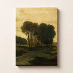 Pine Path Solitude