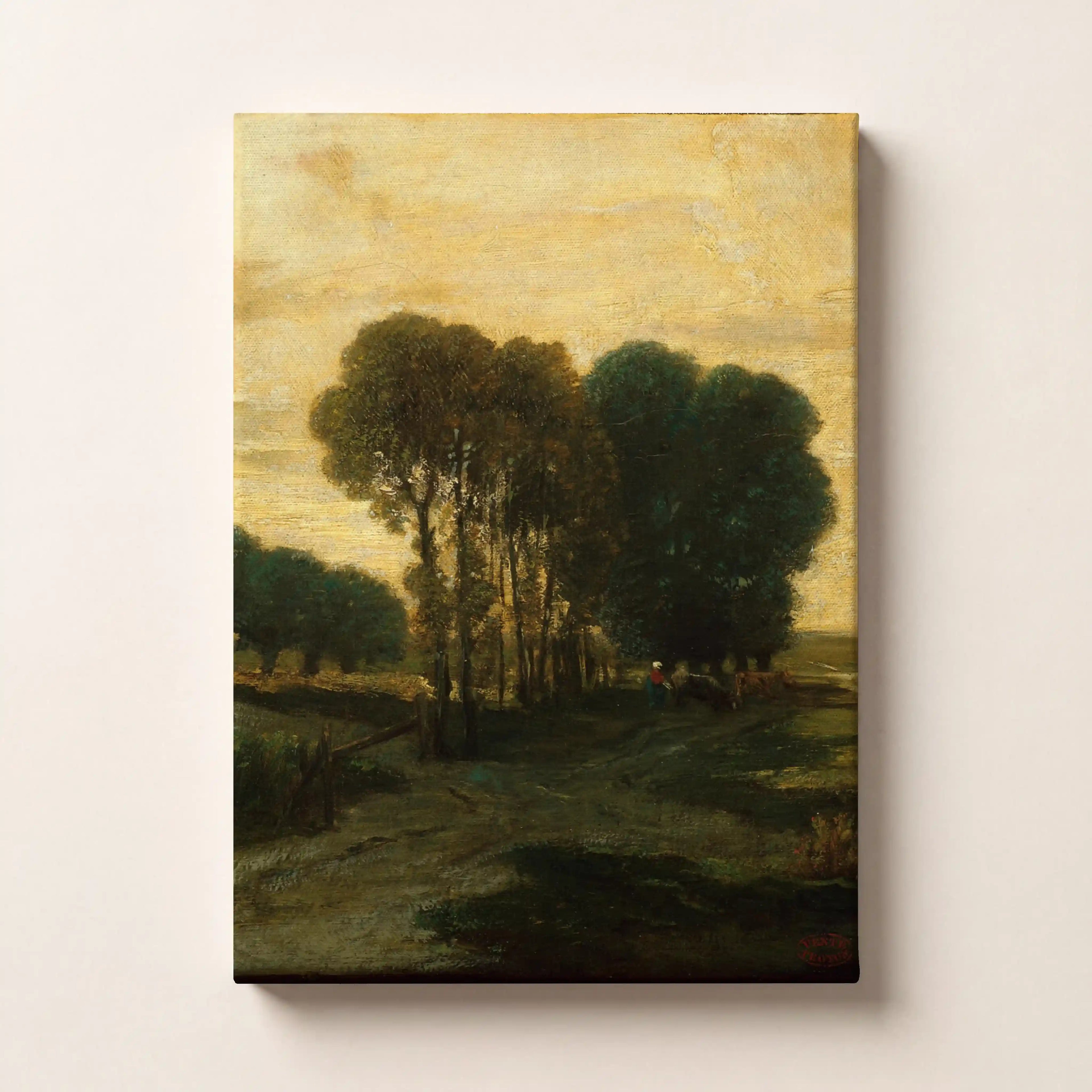 Pine Path Solitude