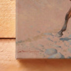 The Desert Chase