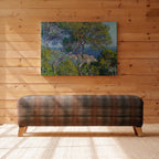 Cypress Lined Coastal View