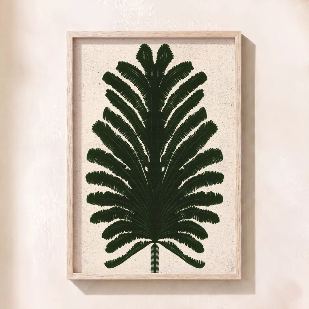 Fern