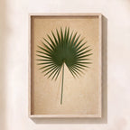 Palm Leaf