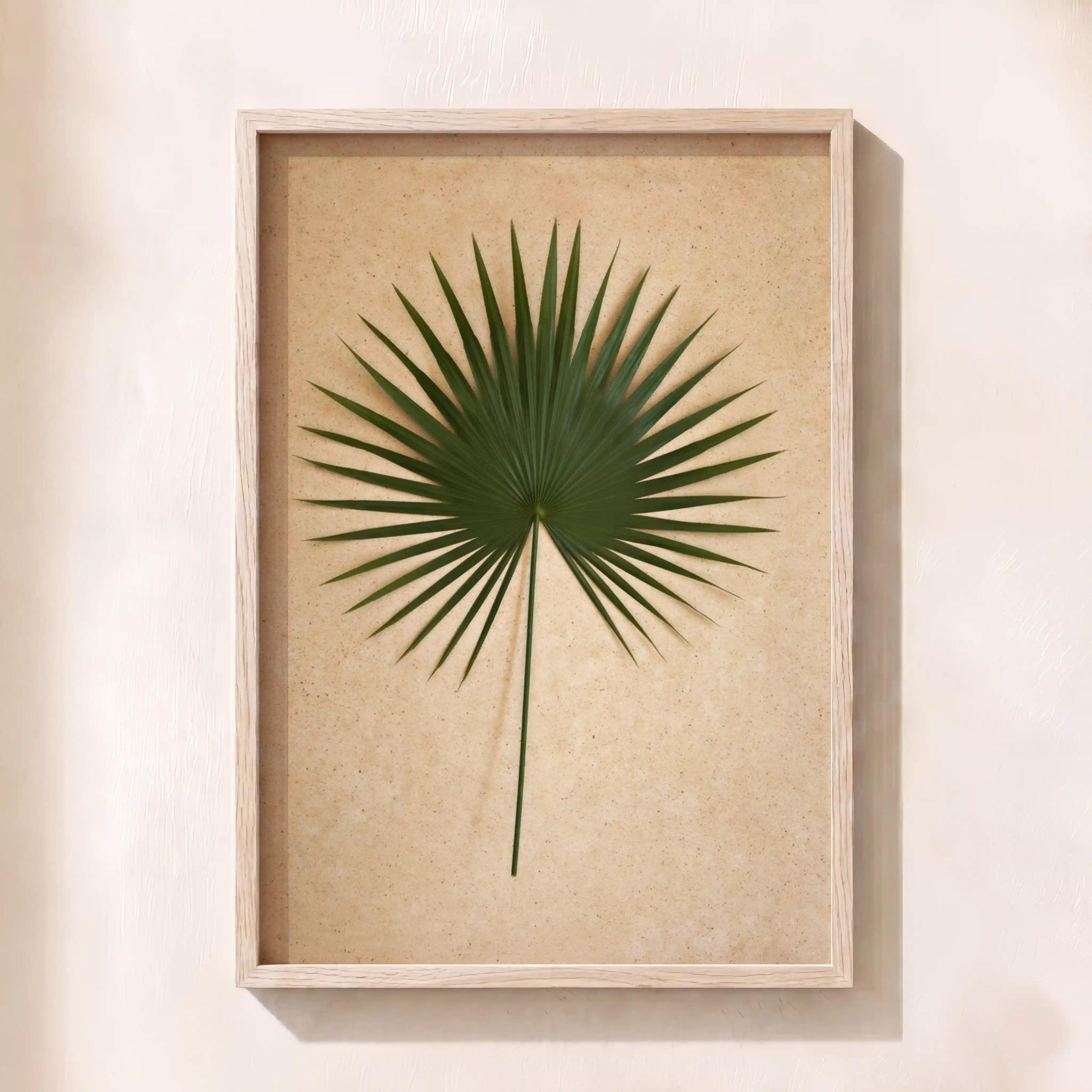 Palm Leaf