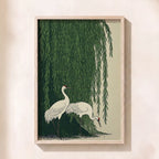Japanese Cranes