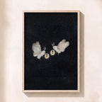 Lonely Moths