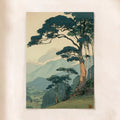 Misty Mountain Pine