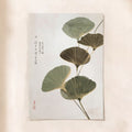 Ginkgo Leaf Trio