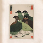 Pigeon Palette