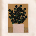 House Plant (i)