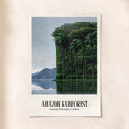 Amazon Rainforest