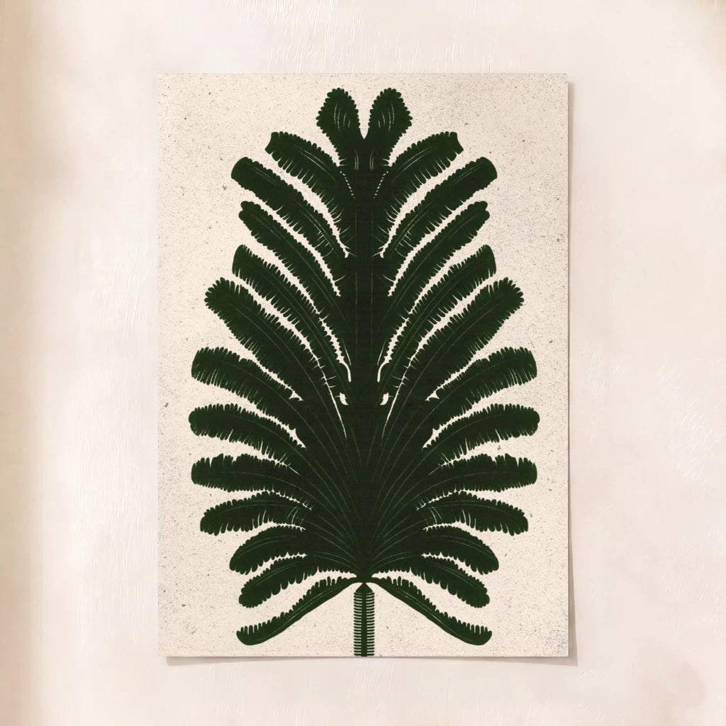Fern