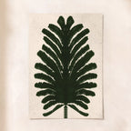 Fern