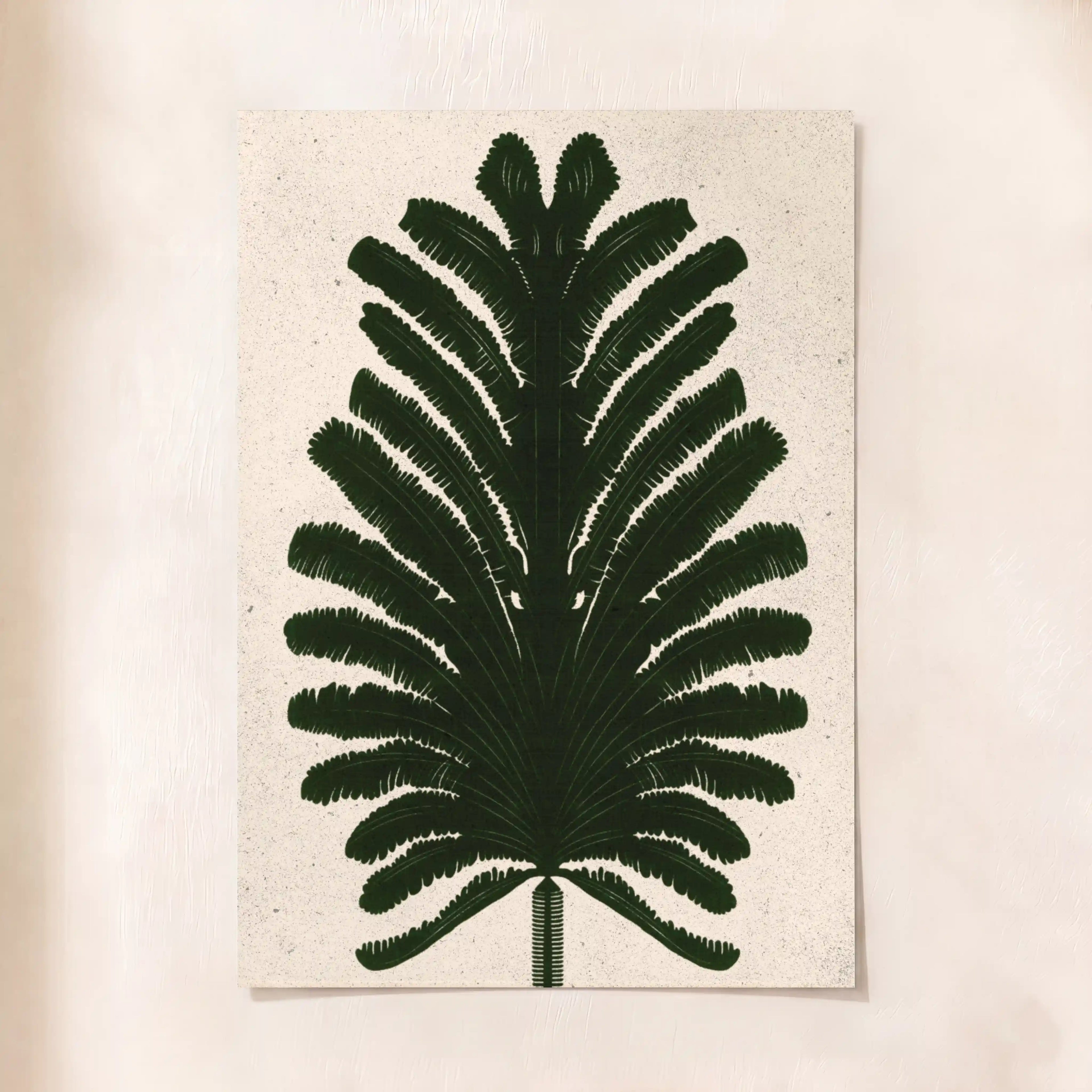 Fern