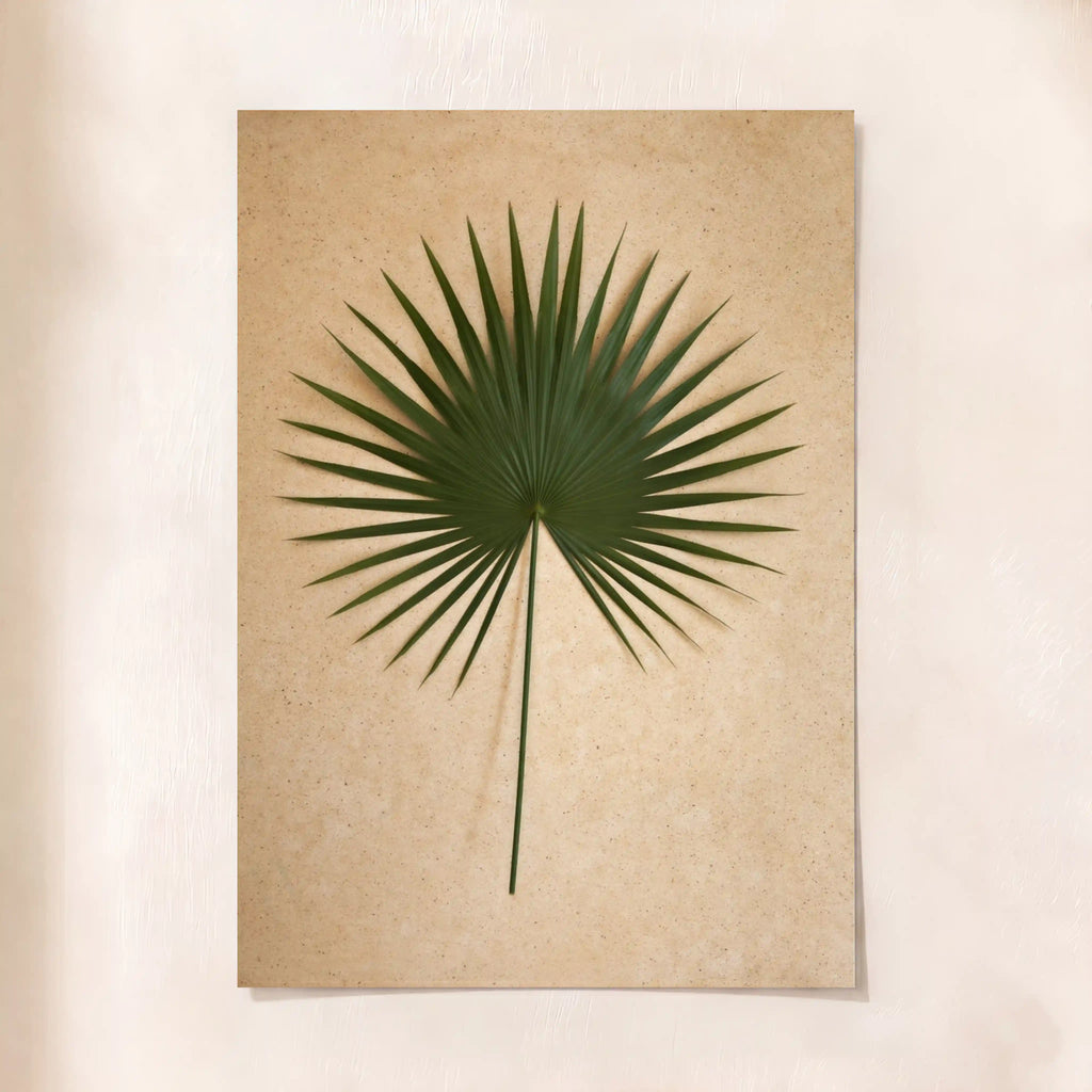 Palm Leaf