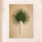 Palm Leaf