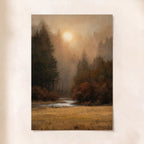 Forest (i)