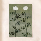 Two Daisy's